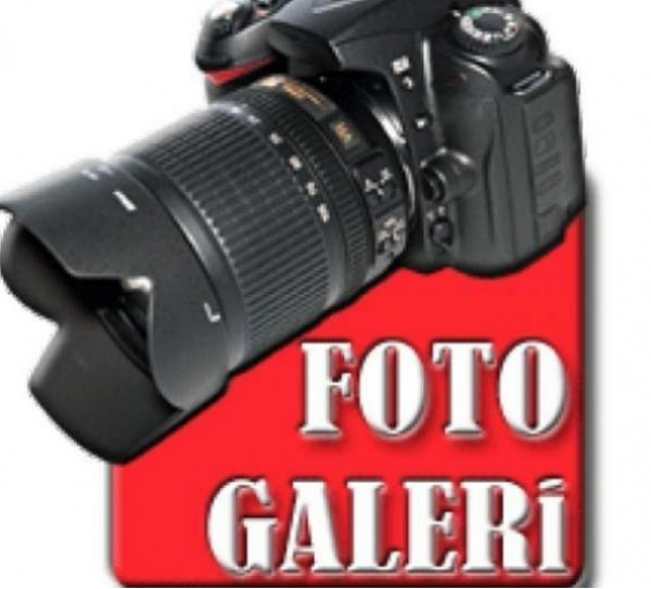 �ankaya Murat Perde